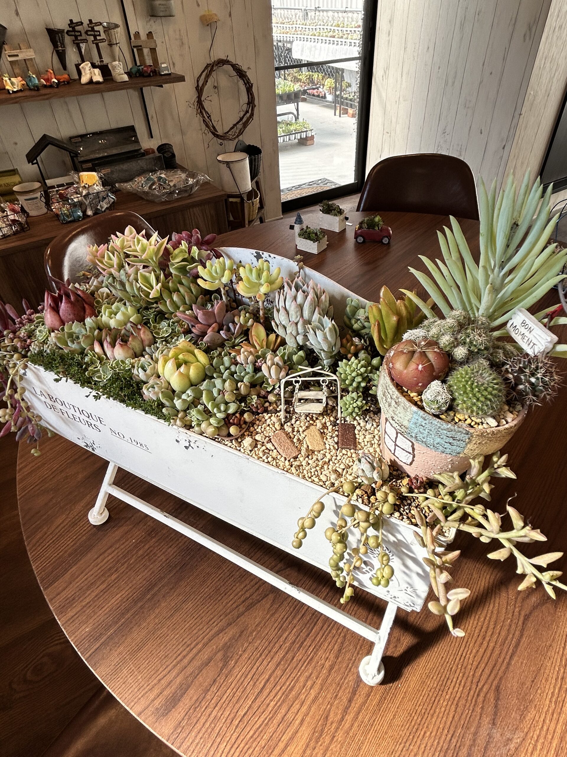 2024/7/30 ㈫ 晴れ 多肉植物寄せ植え箱庭風✨ – かみゅ多肉